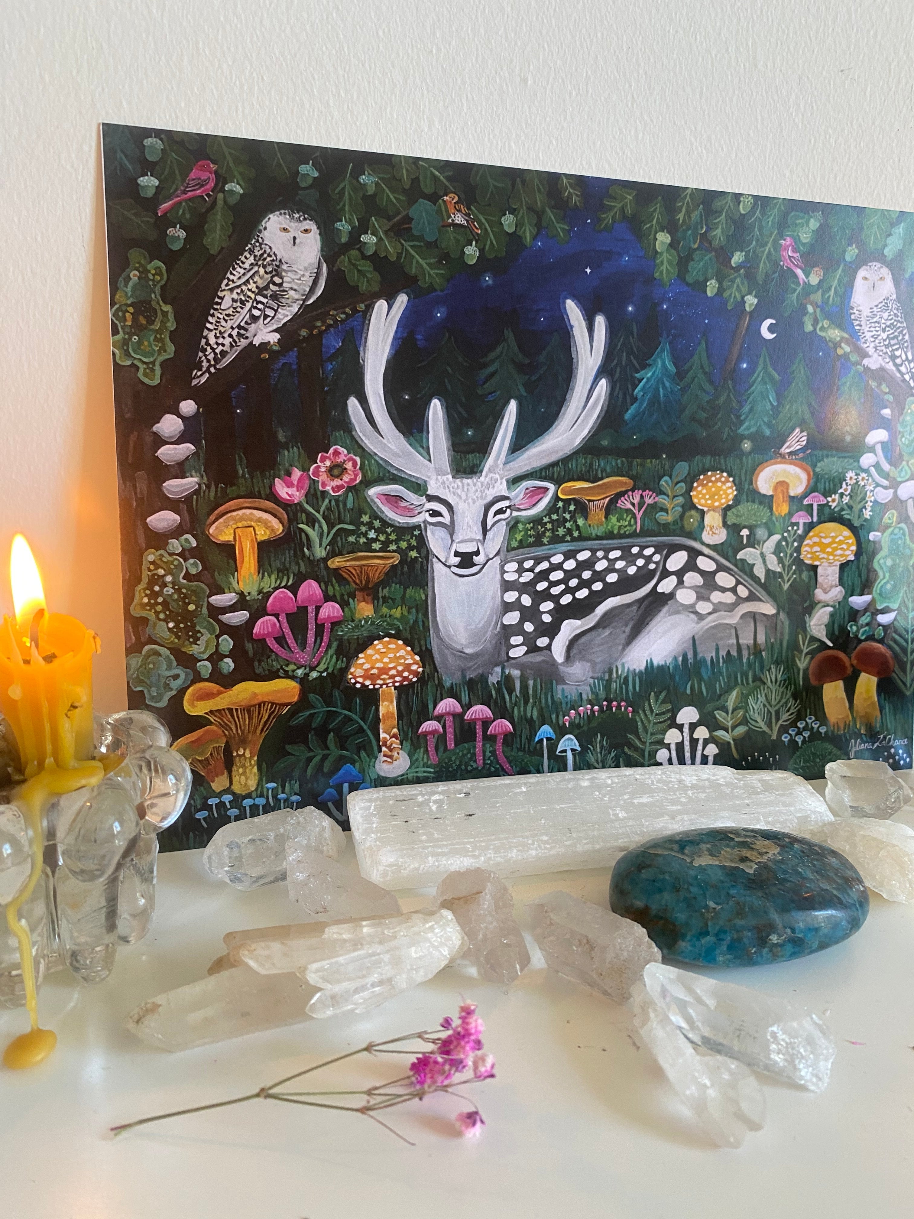 Midnight Forest Print