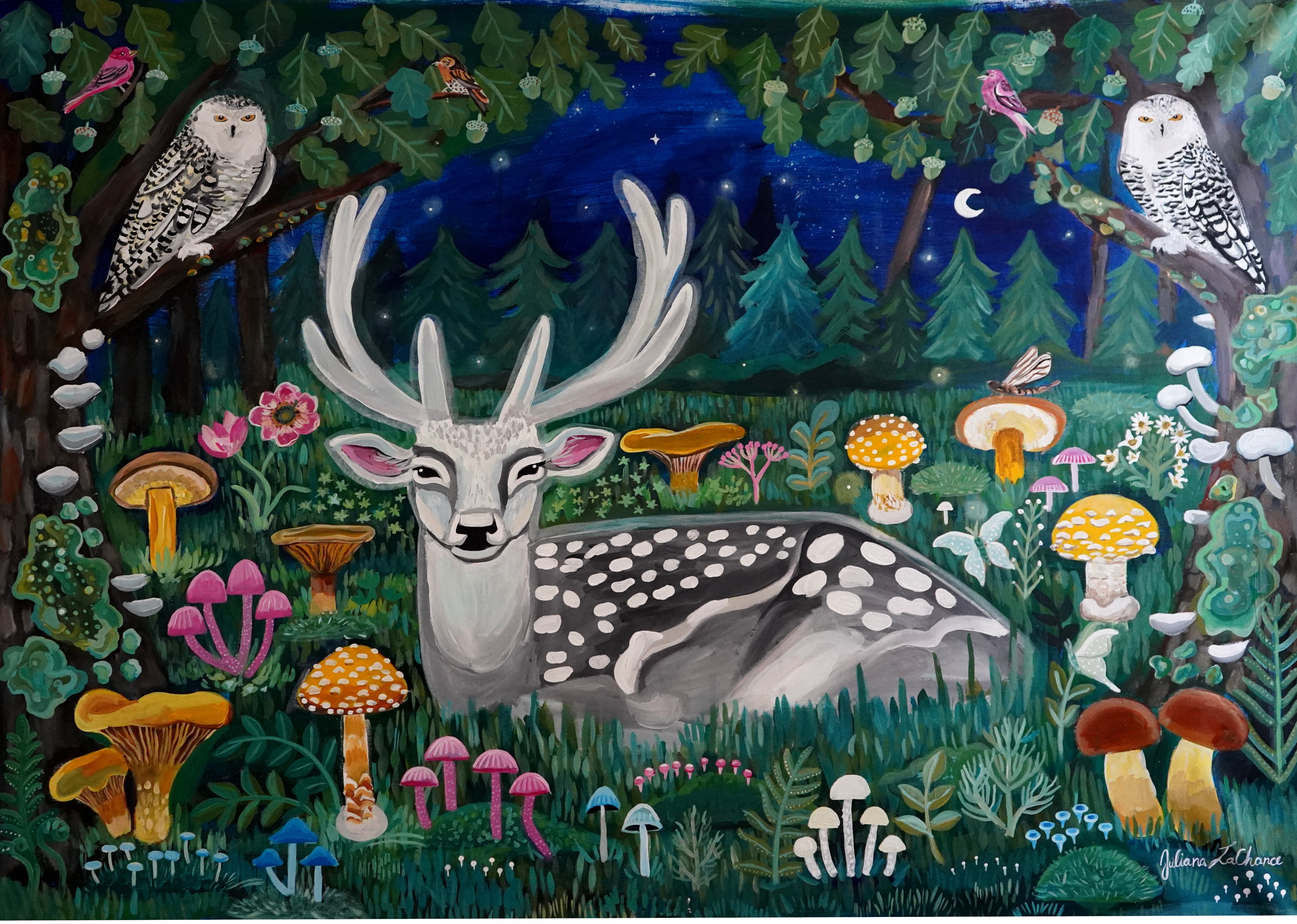 Midnight Forest Print