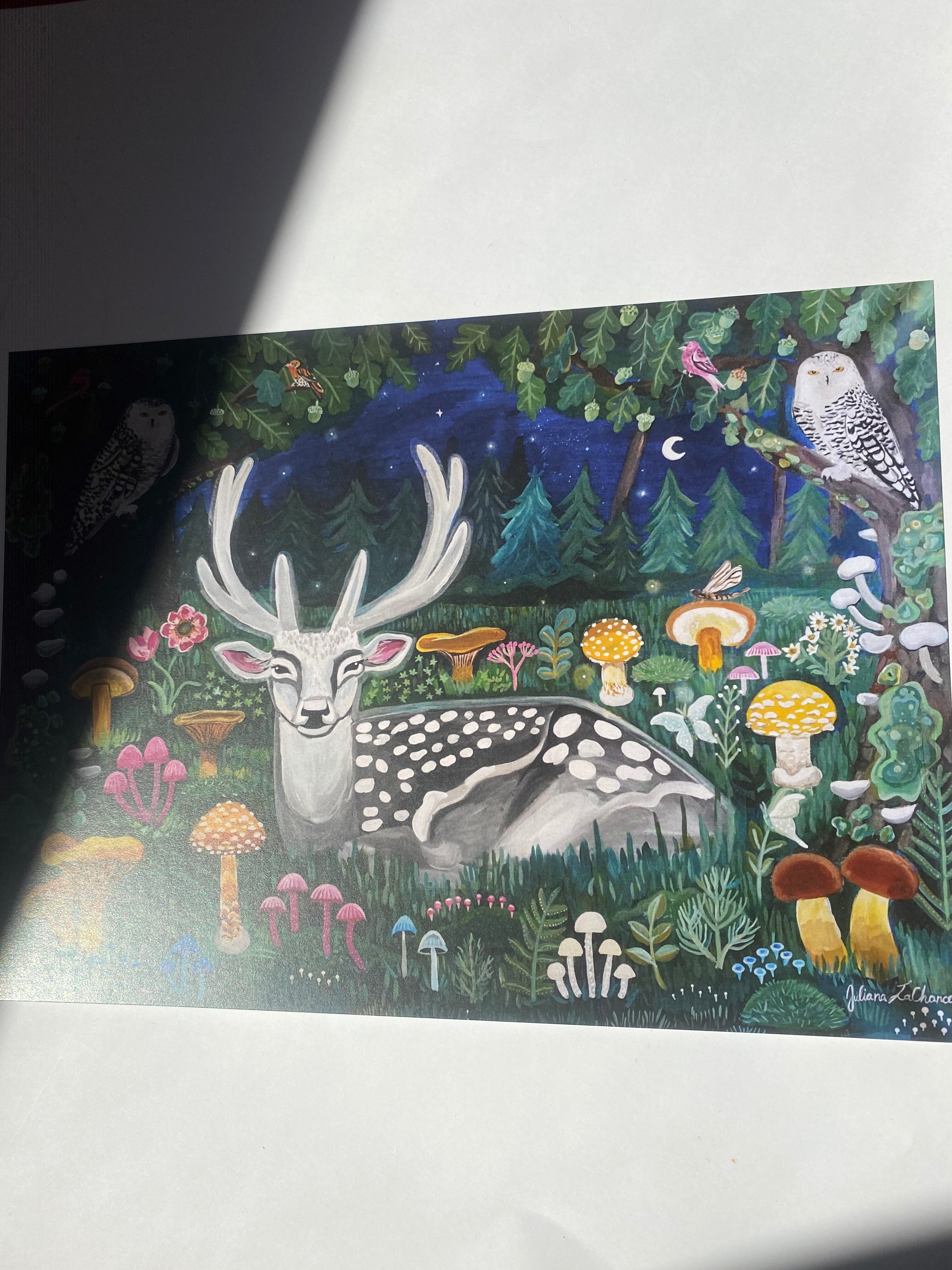 Midnight Forest Print