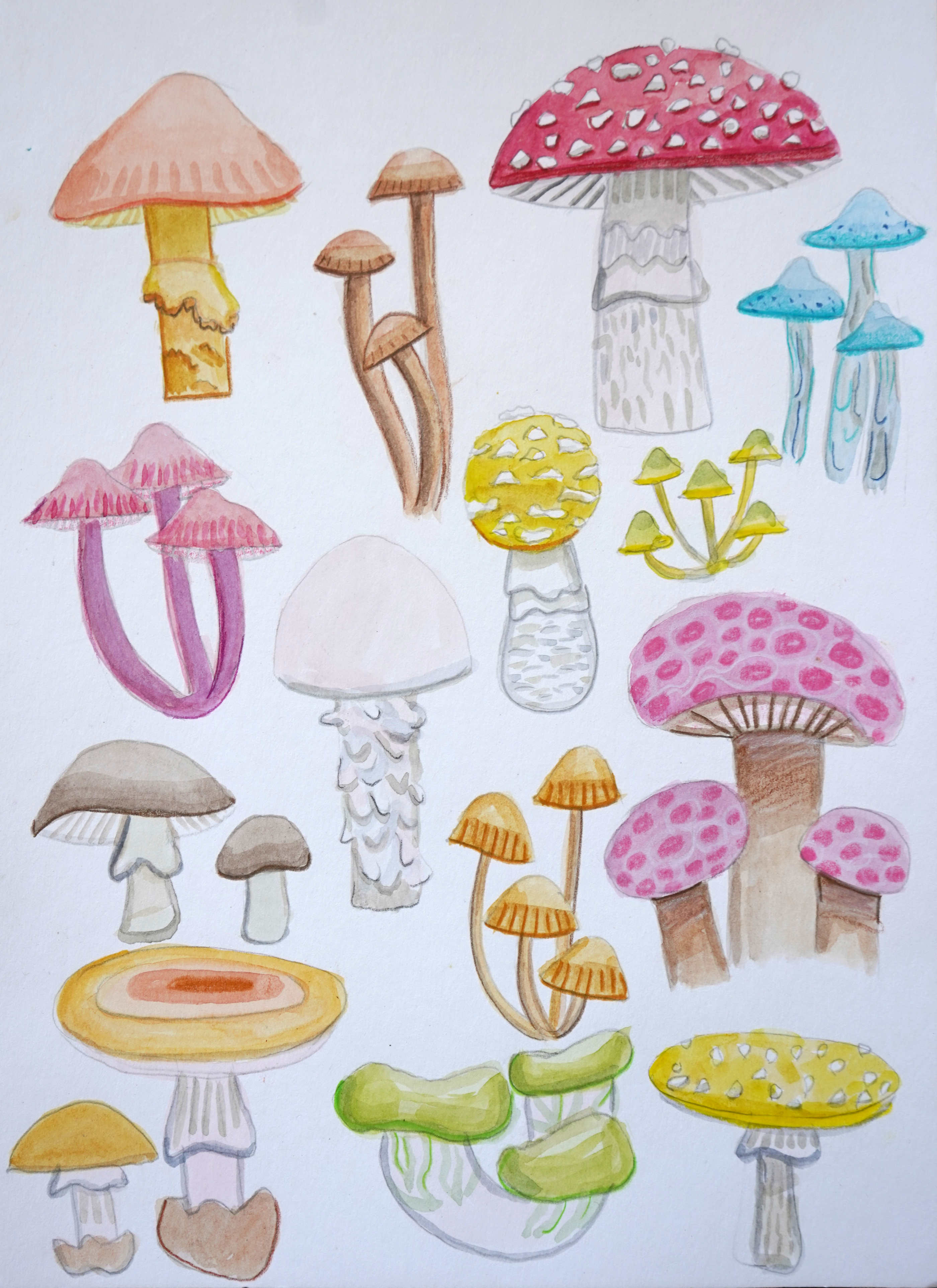 Multicolor Mushroom Painting